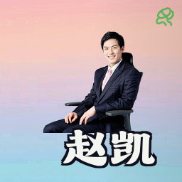 赵凯